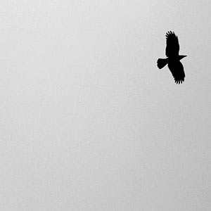 IMG_000221.jpg ( 5 KB )