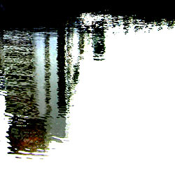 IMG_000227.jpg ( 15 KB )