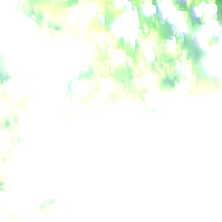 IMG_000232.jpg ( 5 KB )