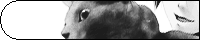 IMG_000237.gif ( 2 KB )