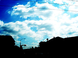 IMG_000253.jpg ( 17 KB )