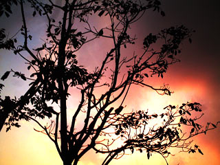 IMG_000267.jpg ( 32 KB )