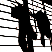 IMG_000268.gif ( 4 KB )