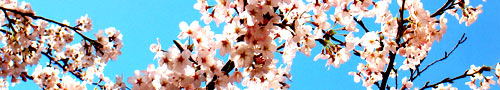 IMG_000280.jpg ( 27 KB )