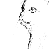IMG_000282.gif ( 2 KB )