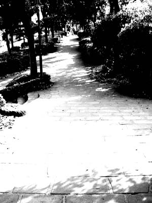 IMG_000287.jpg ( 21 KB )