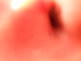 IMG_000332.jpg ( 7 KB )
