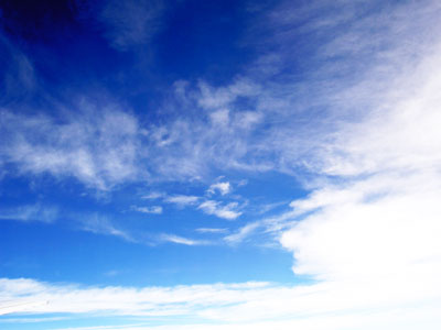 IMG_000339.jpg ( 18 KB )