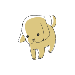 IMG_000340.gif ( 2 KB )