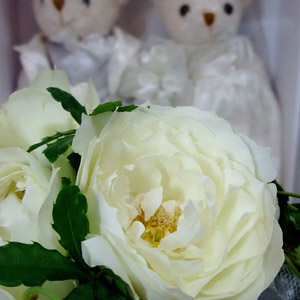 IMG_000410.jpg ( 27 KB )